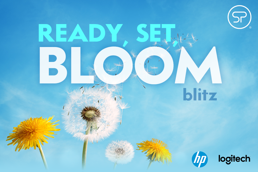 Ready, Set, Bloom Blitz